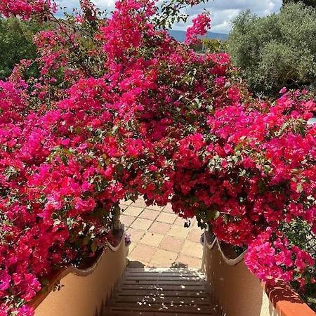 Casa Vacanze La Brii Iglesias Εξωτερικό φωτογραφία