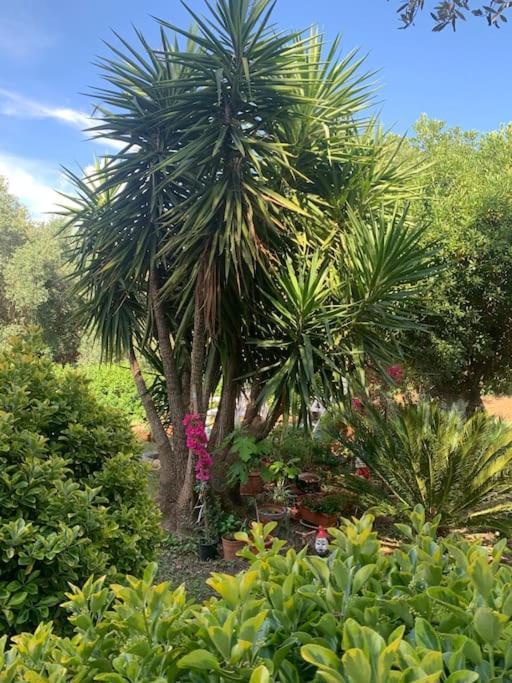 Casa Vacanze La Brii Iglesias Εξωτερικό φωτογραφία