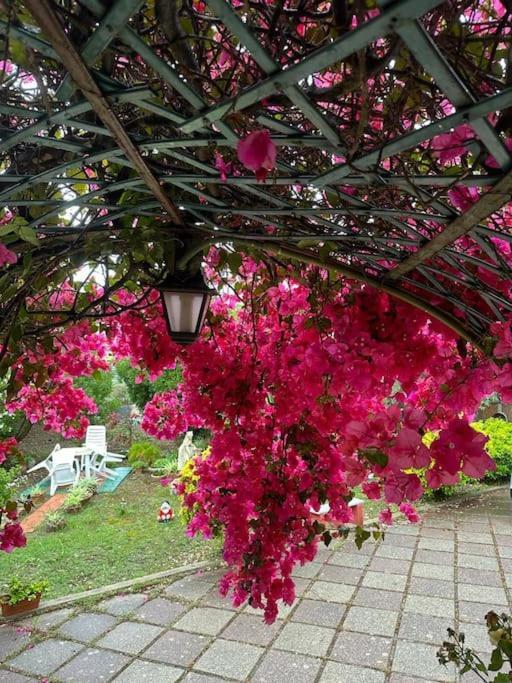 Casa Vacanze La Brii Iglesias Εξωτερικό φωτογραφία