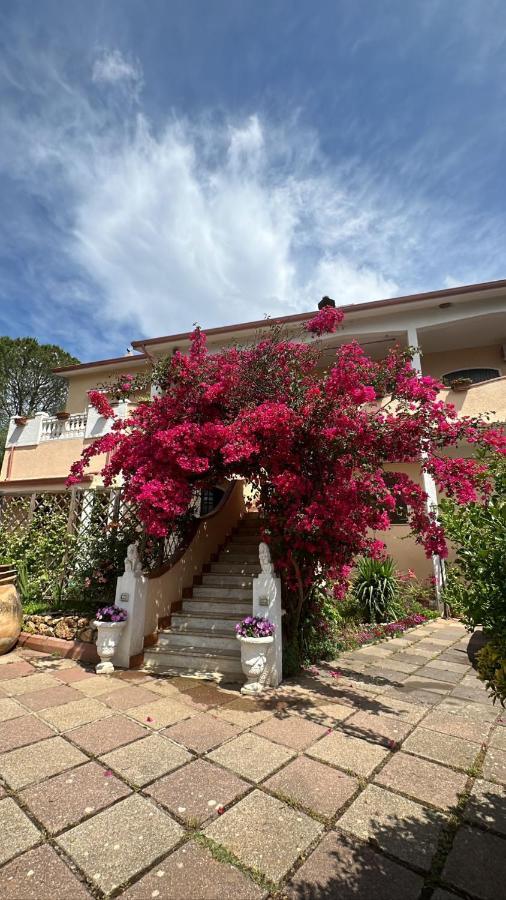 Casa Vacanze La Brii Iglesias Εξωτερικό φωτογραφία